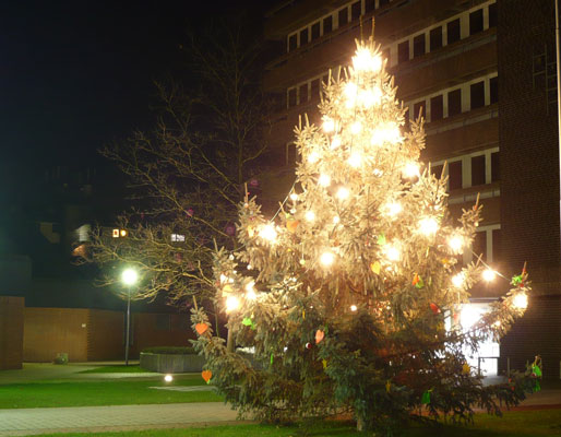 Sehnde sucht einen Weihnachtsbaum für den Rathausvorplatz