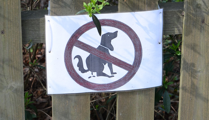 Hundehaufen – nicht nur in Lehrte ein Fall für die Tüte