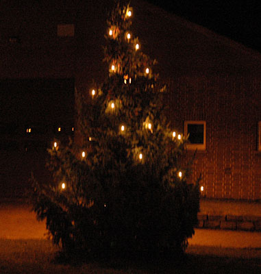 Wohin mit dem Weihnachtsbaum – aha holt ab