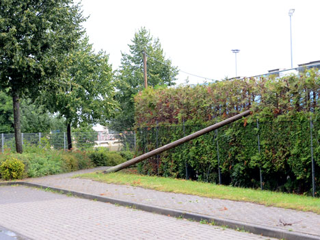 Wetterwarnung vor Sturmböen in der Ostregion