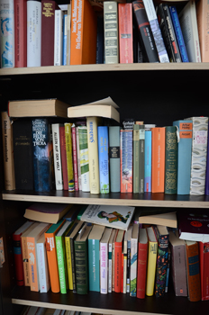 Wechsel der Büchereileitung in Bolzum zum Jahresanfang