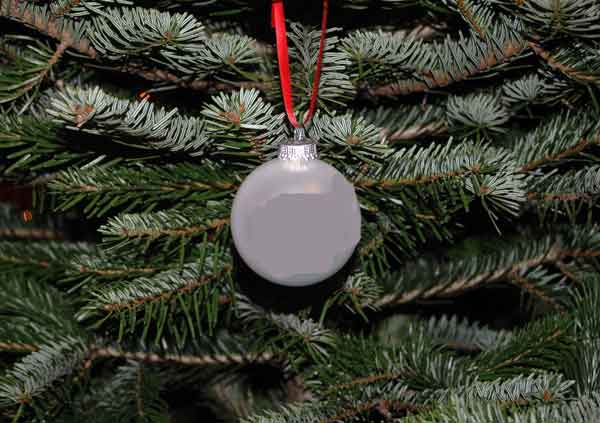 Feuerwehrfreunde sammeln Weihnachtsbäume in Bolzum und Wehmingen ein