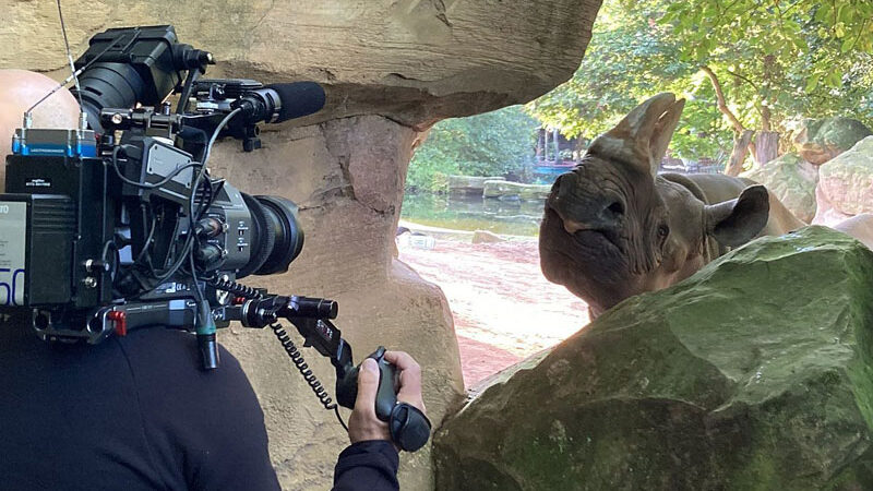 Seelöwe & Co.: Der Erlebnis-Zoo im NDR startet am 20. Dezember