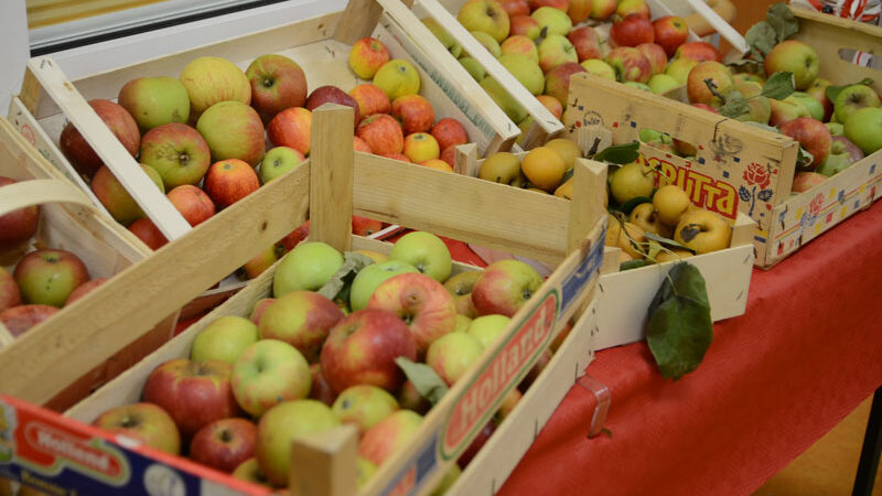 Angebot „Obst verbindet“ in Höver wird eingestellt