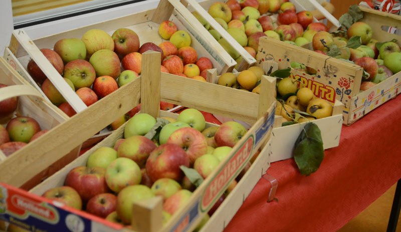 Angebot „Obst verbindet“ in Höver wird eingestellt