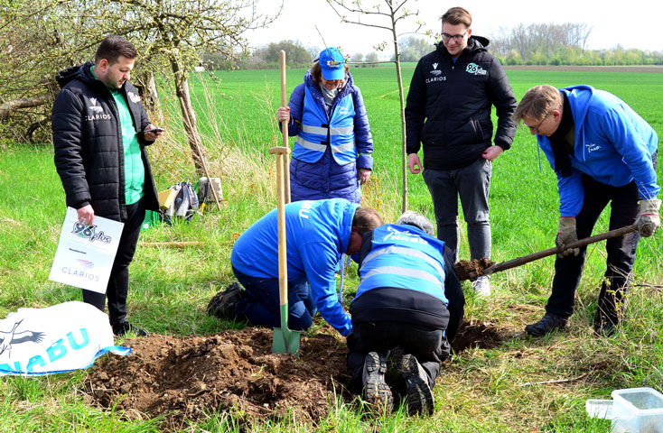 NABU und 96plus pflanzen Apfelbaum zum Tag des Baumes in Sehnde