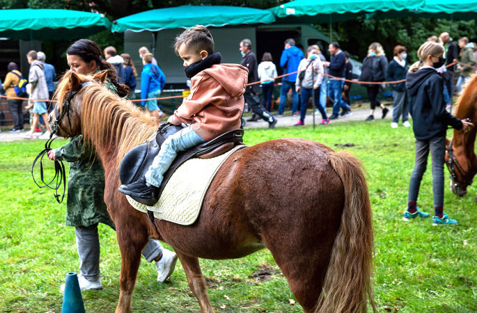 Burgdorfer Pferde- und Hobbytiermärkte mit Streichelzoo, Langohrglück und historischem Handwerk