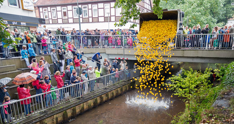 Spritzige Enten und glänzende Oldtimer: 245. Burgdorfer Pferde- und Hobbytiermarkt