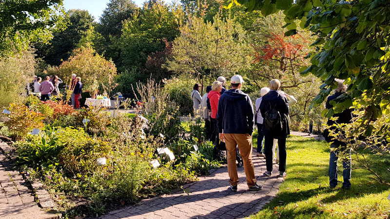 Die „Kräuterhexen“ bieten wieder Führungen im Heilpflanzengarten in Lehrte an