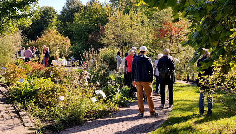 Die „Kräuterhexen“ bieten wieder Führungen im Heilpflanzengarten in Lehrte an