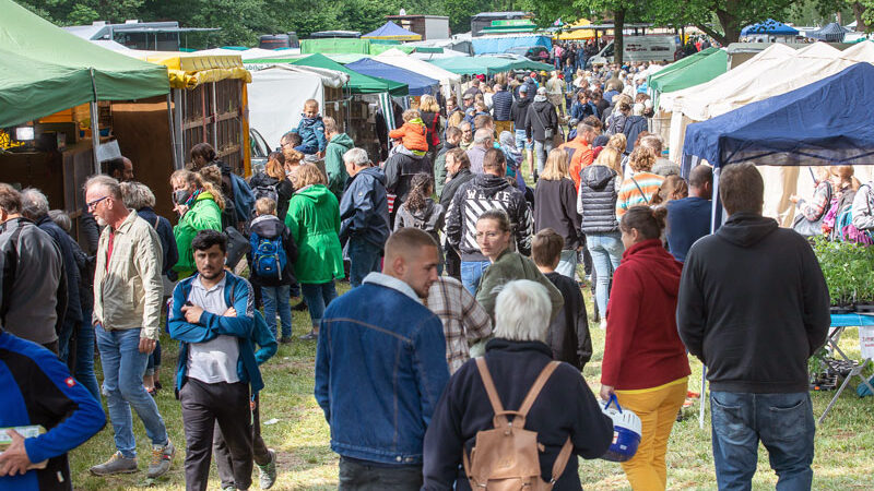 Familienprogramm mit Streichelzoo und Riesenseifenblasen beim Pferde- und Hobbytiermarkt