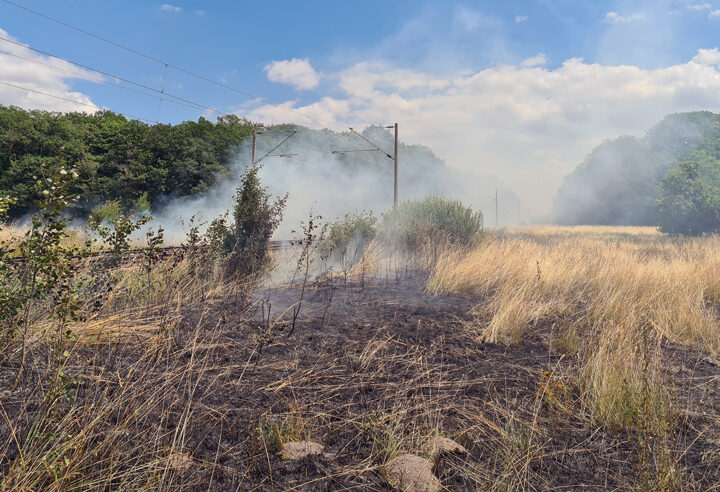Feuerwehr Lehrte verhindert Waldbrand – Einsatzkräfte löschen an zehn Stellen