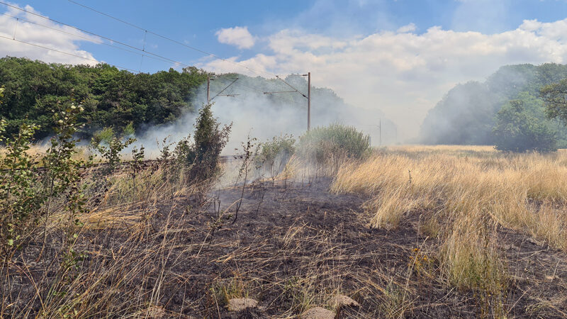 Feuerwehr Lehrte verhindert Waldbrand – Einsatzkräfte löschen an zehn Stellen