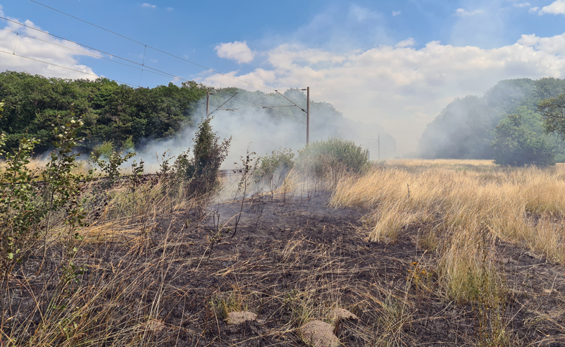 Feuerwehr Lehrte verhindert Waldbrand – Einsatzkräfte löschen an zehn Stellen