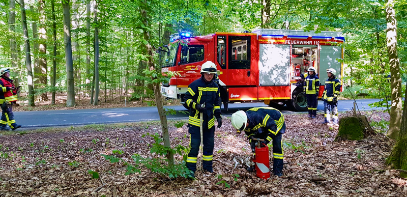 Zigarettenkippe löst vermutlich Brand bei Müllingen aus