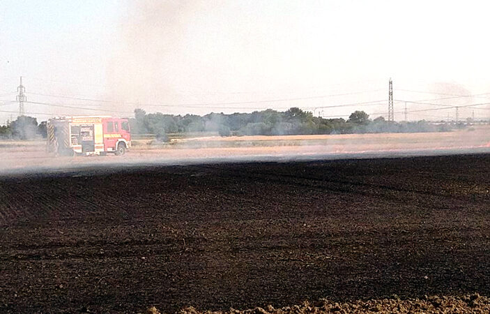 Zwei Flächenbrände und ein Waldbrand im Stadtgebiet Lehrte gleichzeitig