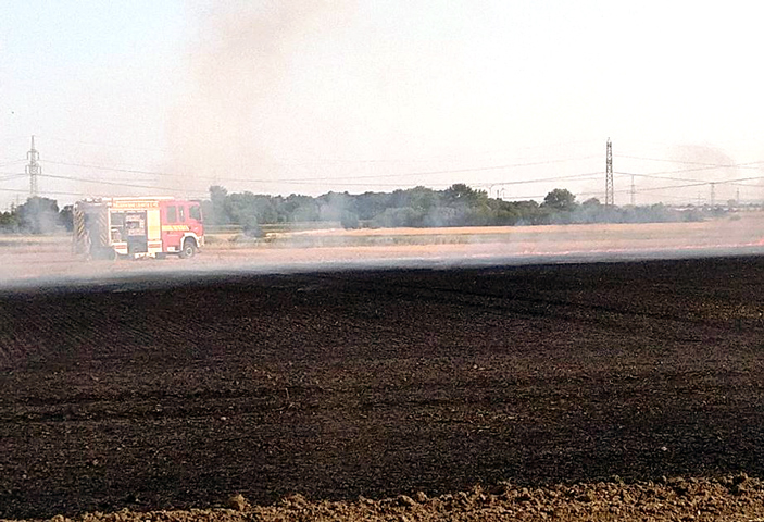 Zwei Flächenbrände und ein Waldbrand im Stadtgebiet Lehrte gleichzeitig