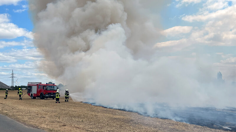 Flächenbrand in Ilten rechtzeitig gestoppt