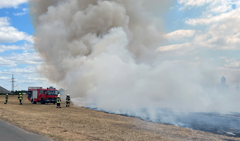 Flächenbrand in Ilten rechtzeitig gestoppt