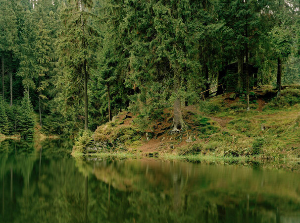 „Teich- und Waldlandschaften“: Foto-Ausstellung im Regionshaus