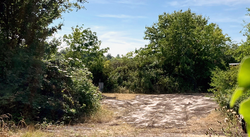 Nach Wildschwein-Besuch: Neuer Sommerkirchen-Ort in Höver erforderlich