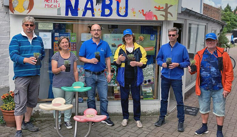 Lavendel-Pflanzen für hungrige Hummeln in Sehnde