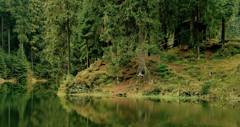 „Teich- und Waldlandschaften“: Fotografien von Martin Henzevim Regionshaus