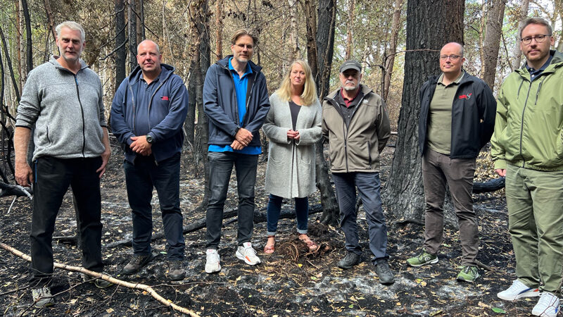 Landtagskandidat Gailus informiert sich über Waldbrand bei Hämelerwald