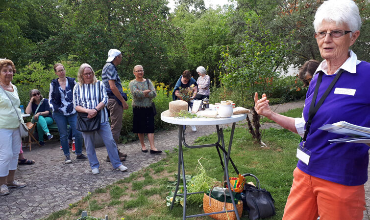 Hagebutte und Holunder – Zeit zur Beerenernte: Sonntag letzte Kräuterführung der Saison