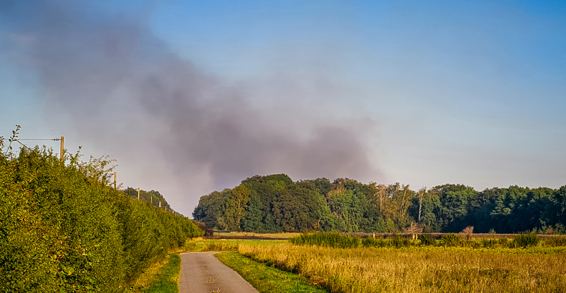 Waldbrand auf über 20 Hektar Fläche: 450 Einsatzkräfte vor Ort