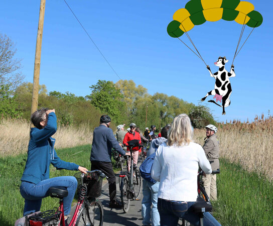 ADFC Lehrte/Sehnde bietet Radtour zu tieffliegenden Kühen an