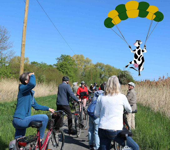 ADFC Lehrte/Sehnde bietet Radtour zu tieffliegenden Kühen an