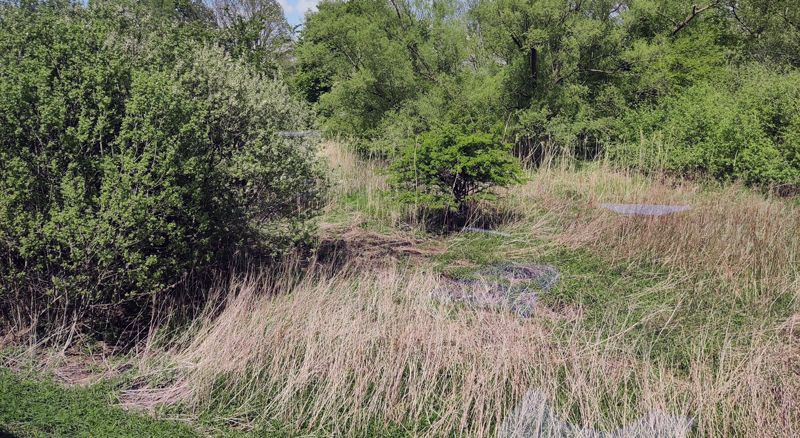 Nächster Einsatz für die Naturschützer aus Ahlten