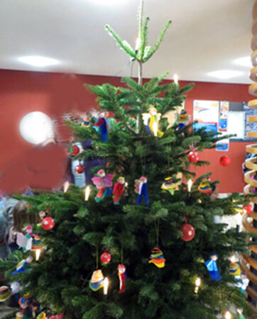 Weihnachtsbaum vor und im Rathaus wird geschmückt