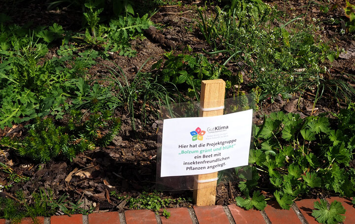 Offene Pforte 2026: Anmelden ab sofort möglich