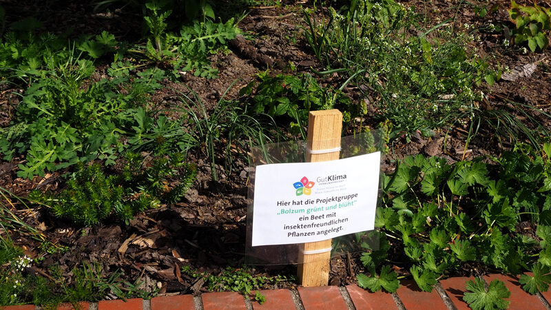 Offene Pforte 2026: Anmelden ab sofort möglich