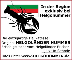 Hummer