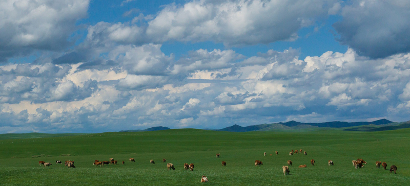 Einladung zum Mitreisen durch die Mongolei