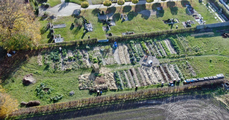 Spaziergang im Permakulturgarten in Bolzum