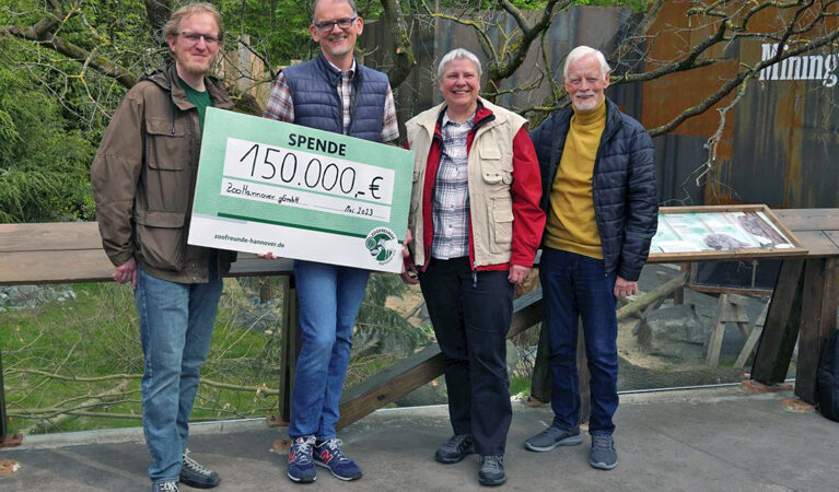 Stachelige Schönheiten: Ursons im Zoo erkunden ihre neue Anlage