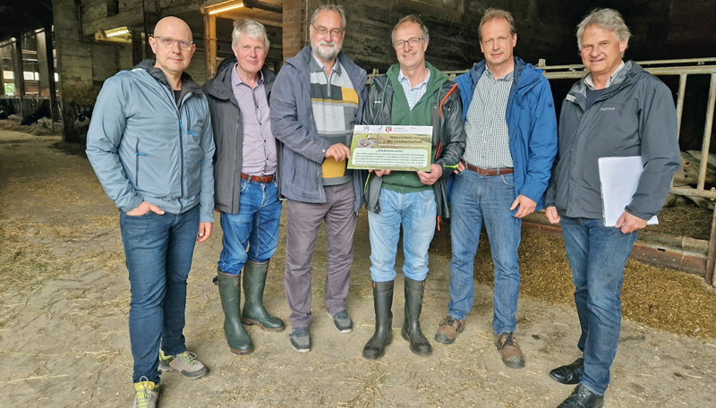 Bodenbrütende Kiebitze fühlen sich auf Dolgener Acker wohl