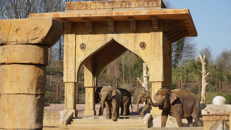 Zoo-Bilanz im Plus – solide Basis für die Zukunft