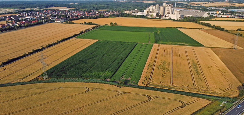 Stadtverwaltung widerspricht Bürgerinitiative Höver zur Info-Veranstaltung