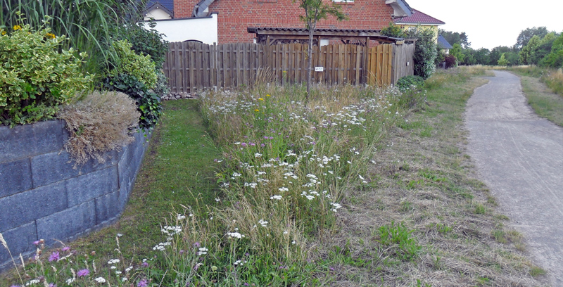 67 städtischen Baumbeete in Ilten am Kälberanger und Kleewiese werden entsiegelt