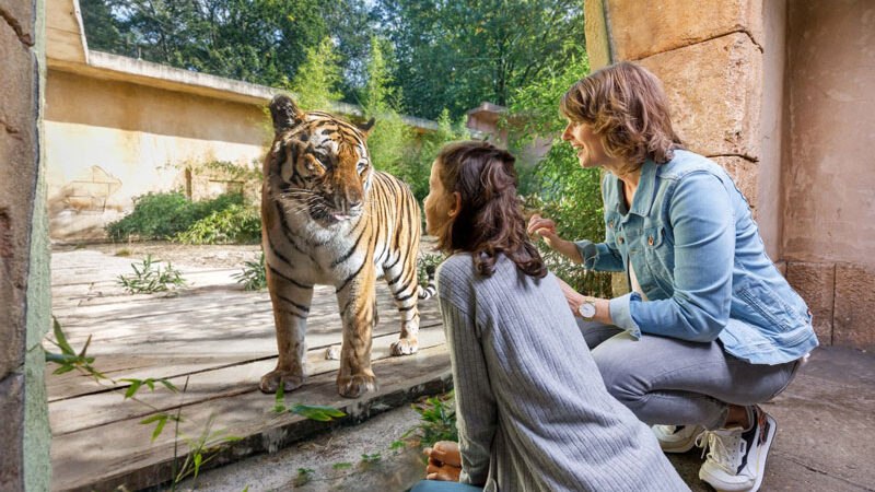 Erlebnis-Zoo Hannover für parkscout-Award „Bester Zoo“ nominiert
