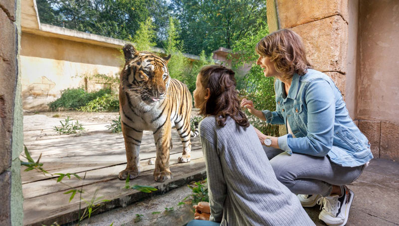 Erlebnis-Zoo Hannover für parkscout-Award „Bester Zoo“ nominiert