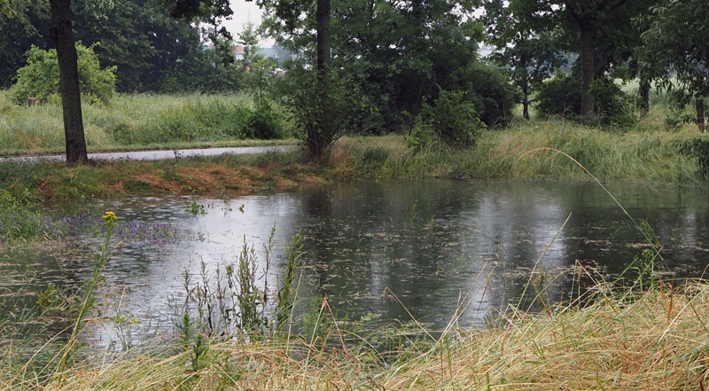 „Wasserdialog“: Welche Gefahren gehen in der Region Hannover von sintflutartigem Regen und Hochwasser aus?