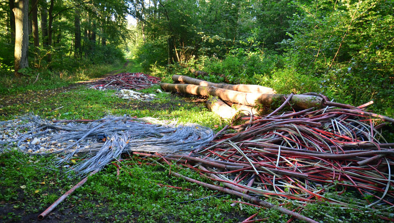 Müllberg im Iltener Holz beseitigt