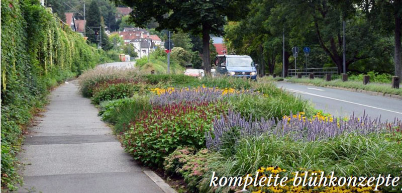 Tausende neue Blumenzwiebeln für Sehnde