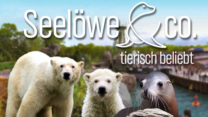Neue Folgen „Seelöwe & Co.“ im NDR aus dem Zoo Hannover